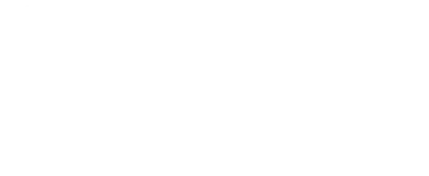 Guru Digital